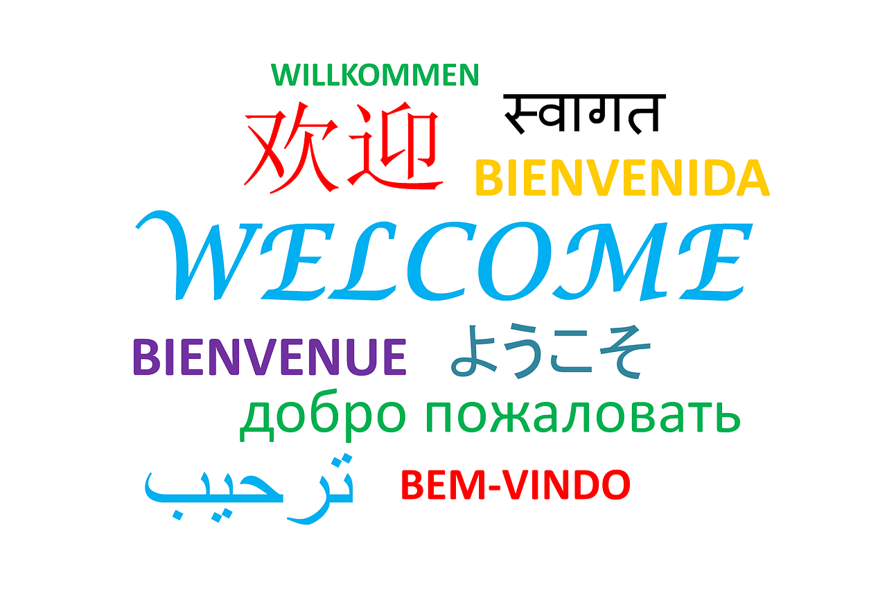 translated welcome logo